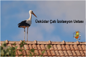 Üsküdar çatı İzolasyon ustası, Üsküdar izolasyoncu,çatı izolasyon yapımı
