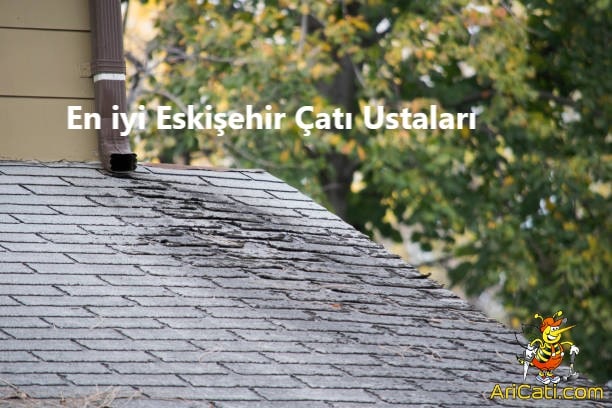 Eskişehir Çatı Ustaları, Eskişehir çatıcı ustası