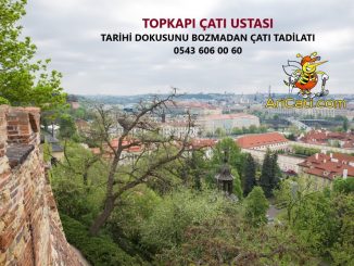 Topkapı çatı Ustası